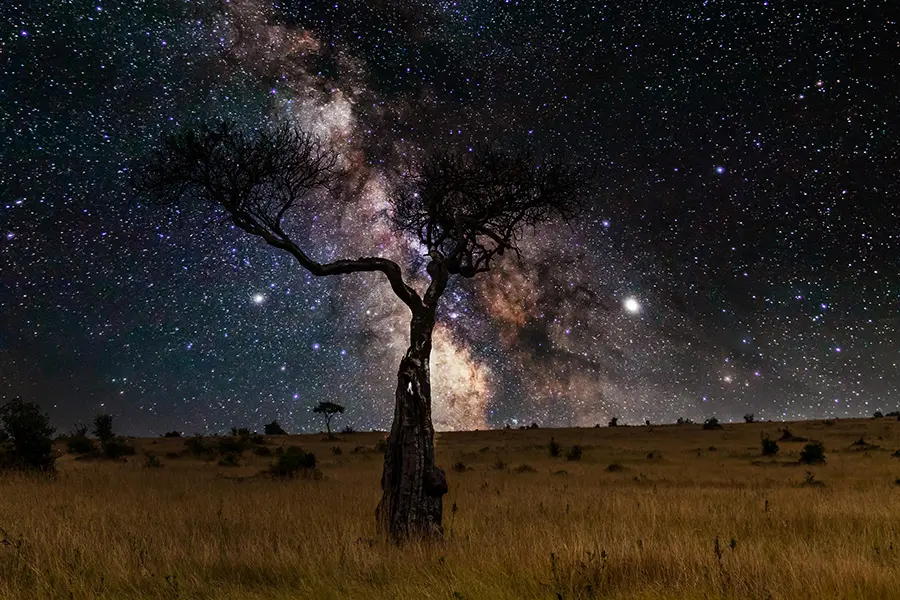 Observar las estrellas.