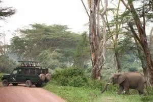 Recorrido en coche por el Ngorongoro Crater Lodge.