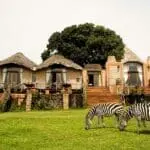andBeyond Ngorongoro Crater Lodge North Camp.