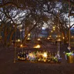 Sundowners followed by a bush dinner.