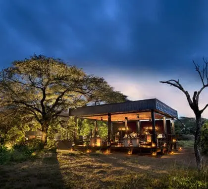 Safari por un humedal en Phinda Vlei Lodge. | AndBeyond Phinda Vlei Lodge