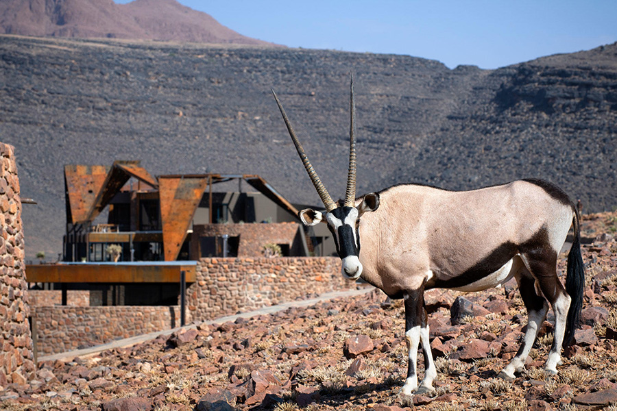 andBeyond-Sossusvlei-Desert-Lodge_exterior-with-an-oryx-in-sight