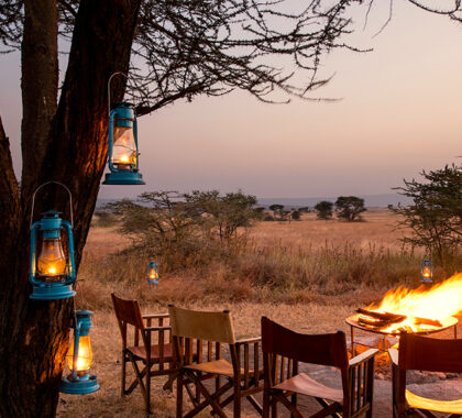 Soak up the sounds of the bush by a roaring fire.