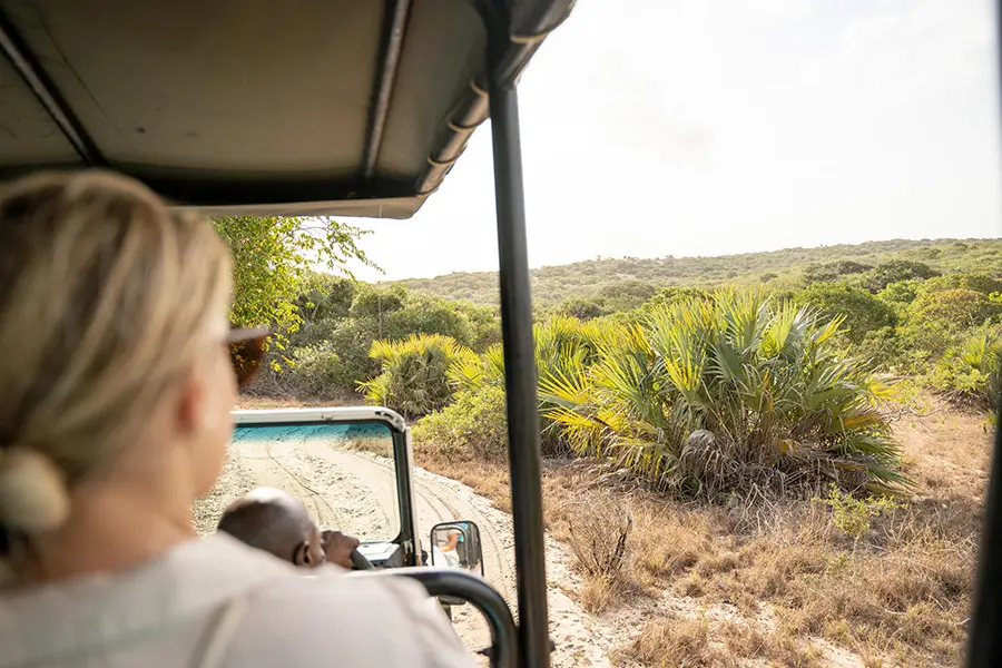 azura_benguerra_-_dune_drive-21