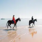 Take in the beachside views on horseback.