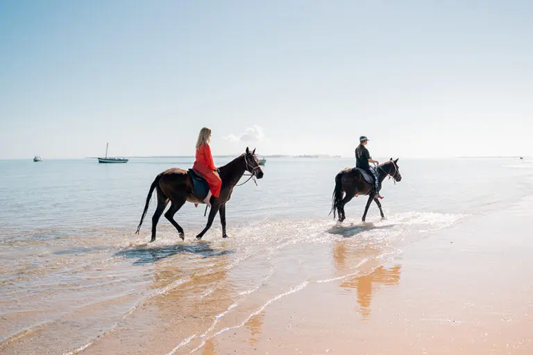 Take in the beachside views on horseback.