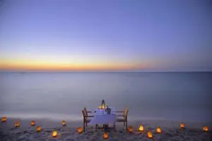 Cenas románticas en la playa.