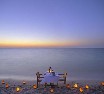 Romantic dinners on the beach.