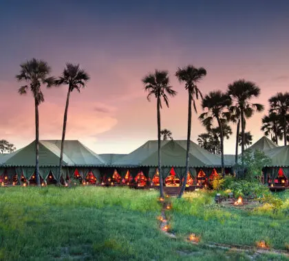 Jacks Camp, Botswana