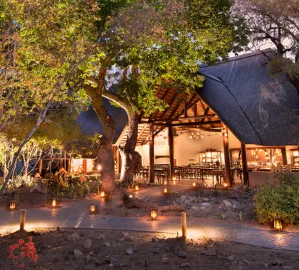 Banner del Ngala Safari Lodge