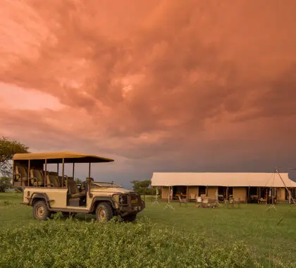 Singita Explore banner