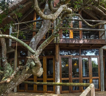Banner del Thonga Beach Lodge
