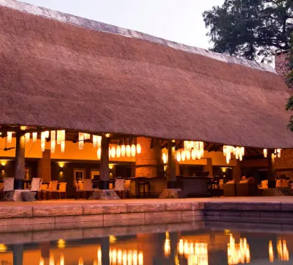 Pancarta MFUWE LODGE