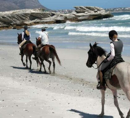 Birkenhead House can arrange a horseback safari on the beach.
