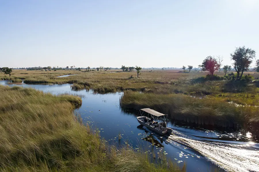 Explore the untamed nature of Moremi Game Reserve.