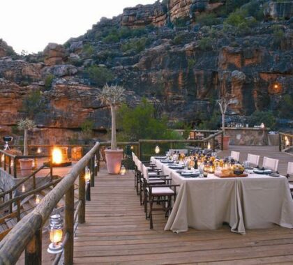 Bushmans Kloof's Extraordinary Dining experienceis an utterly unforgettable experience.
