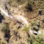 Aerial view on a game drive in the Moremi Game Reserve