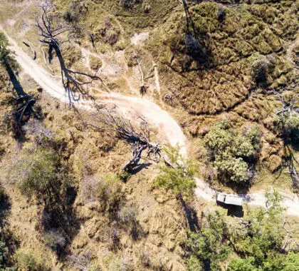 Vista aérea de un safari en la Reserva de Moremi
