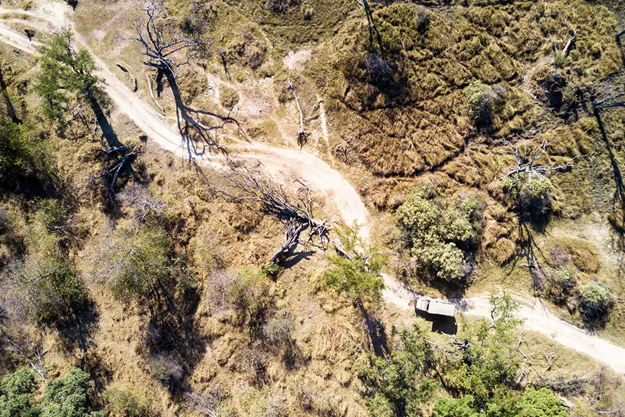 Aerial view on a game drive in the Moremi Game Reserve