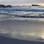 Ciudad del Cabo es conocida por sus excelentes playas. ¿Por qué no escaparse unas horas para divertirse al sol?