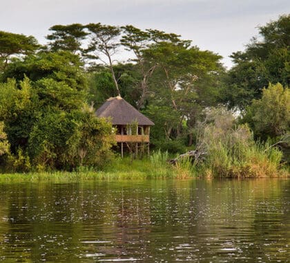 Chundukwa River Lodge's stilted suites dotted along the Zambezi River.