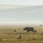 Exceptional wildlife encounters.  