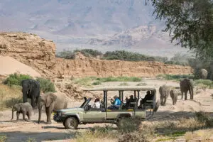 Recorridos por Damaraland.