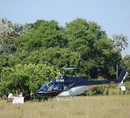 Sobrevuele el Delta en helicóptero. 