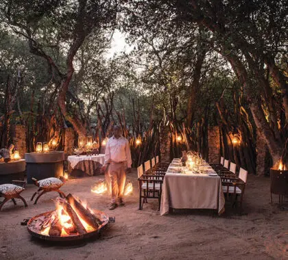 Enjoy boma dinners under the stars. 