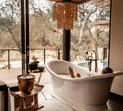 Relájese y tome un baño después de los safaris. 