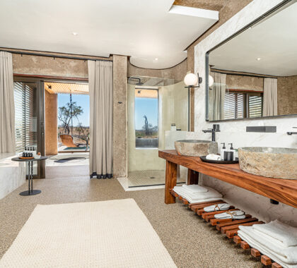 Luxury suite bathroom.