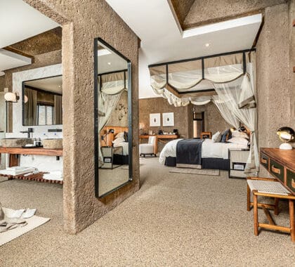Amplia suite.