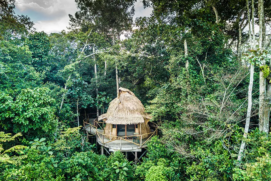 Set in the rainforest in the heart of the Congo Republic’s Odzala National Park.