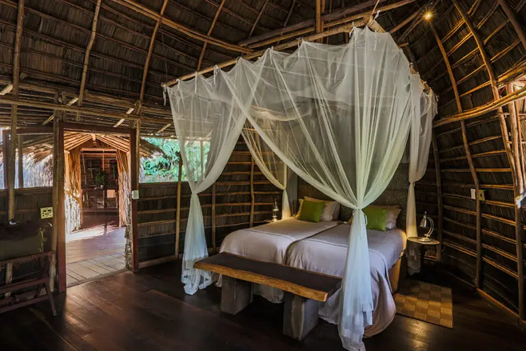 Suite del campamento Ngaga.