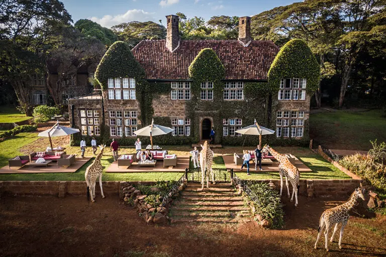 Tea time at Giraffe Manor.