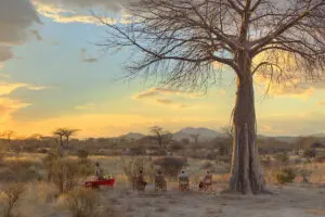 Recorrer en coche el Parque Nacional de Ruaha.