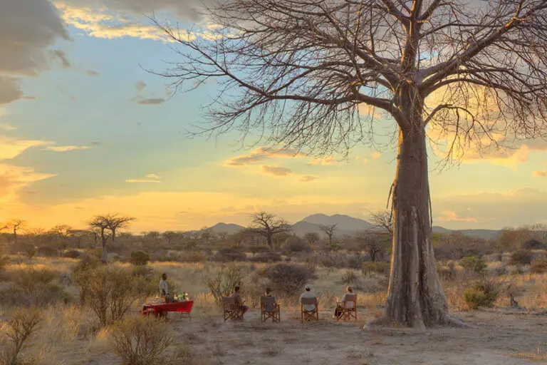 Go on gme drives through Ruaha national Park.