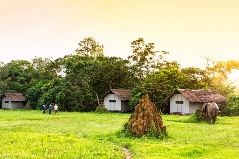 editado-mboko_camp_camp-exterior