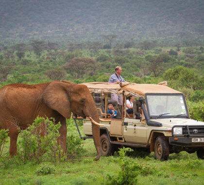 A safari experience in heart of the Samburu National Reserve.