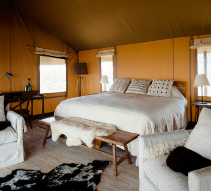 Tented bedroom suite.