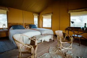 Twin bedroom.