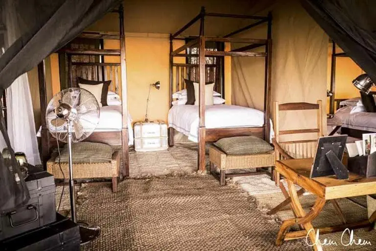 Interior de la tienda familiar.