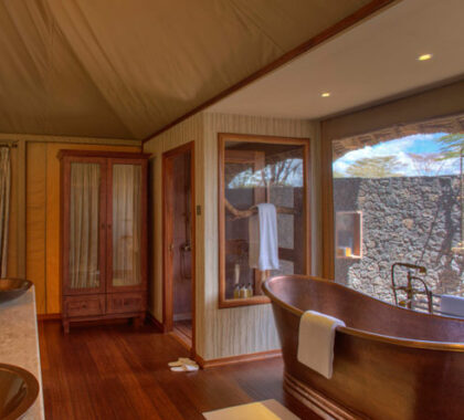 The fully equipped en-suite bathrooms have a free-standing copper bathtub and outdoor shower.
