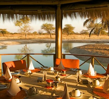 Dinner is served in the open-air boma which overlooks a stunning waterhole.