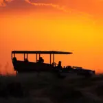 Recorridos por la reserva de Shamwari.