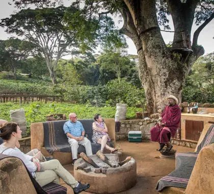 Sundowners junto al fuego, en Gibb's Farm.
