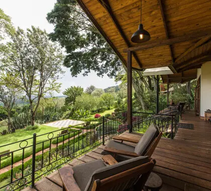 Tranquil views from the top floor terrace at Gibbs Farm | Gibbs Farm
