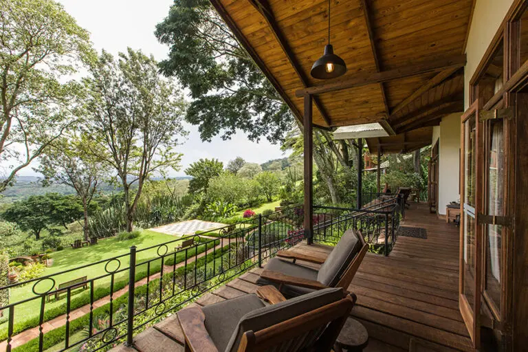 Tranquil views from the top floor terrace at Gibbs Farm | Gibbs Farm