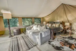 Spacious and luxurious and offer a comfortable, private stay.