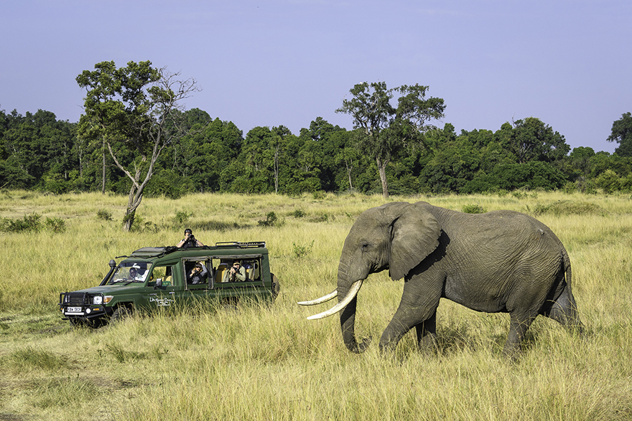 Thrilling game drives.